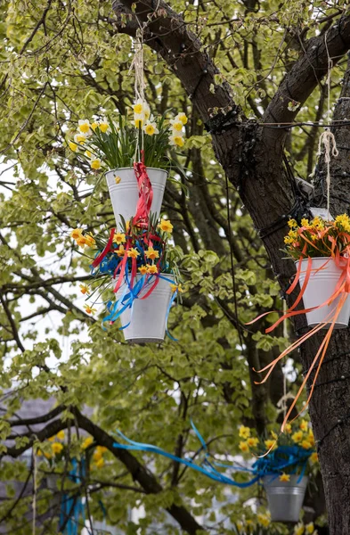 Noordwijkerhout Netherlands April 2017 Decorations Hanging Pails Yellow Daffodils Traditional — Stock Photo, Image