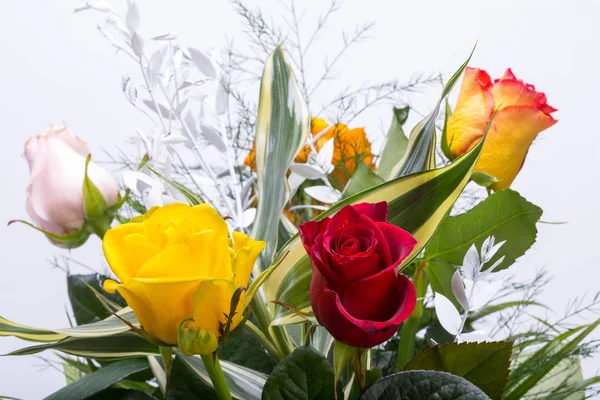 雑色多色のバラの白い背景で隔離の花束 — ストック写真