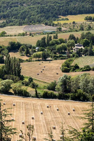 Çiftçinin Alanları Aşağıda Sault Provence Fransa Vadisi Nde Patchwork — Stok fotoğraf