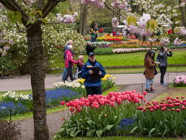 Лиссе Нидерланды Апреля 2017 Года Посетители Keukenhof Garden Лиссе Голландия — стоковое фото