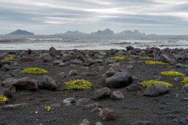 İzlanda güney kıyılarında siyah beach Landeyjarsandur ve Vestmannaeyjar Adaları ile. Arka planda Westmann Adaları