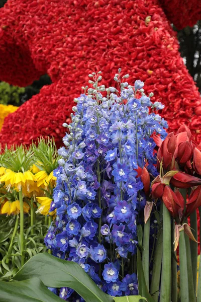 Noordwijkerhout Netherlands April 2017 Floristic Decorations Traditional Flowers Parade Bloemencorso — Stock Photo, Image