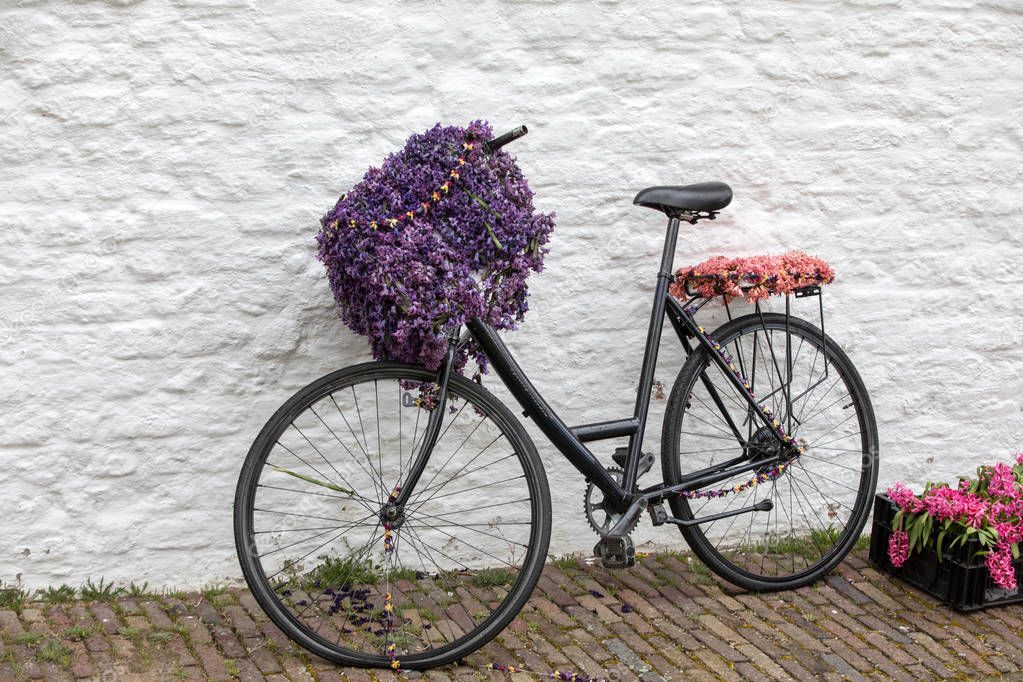  Bicycle decorated with flowers at the traditional flowers parade Bloemencorso from Noordwijk to Haarlem in the Netherlands