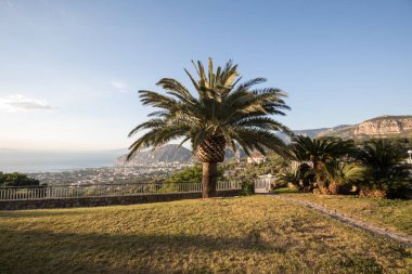 Napoli Körfezi ve Vesuvius palmiye ağacı içinde belgili tanımlık geçmiş