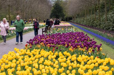 Lisse Hollanda - 19 Nisan 2017: Lisse, Hollanda, Hollanda Keukenhof Garden ziyaretçi.