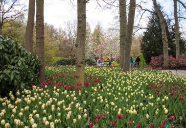 Lisse Hollanda - 19 Nisan 2017: Lisse, Hollanda, Hollanda Keukenhof Garden ziyaretçi.