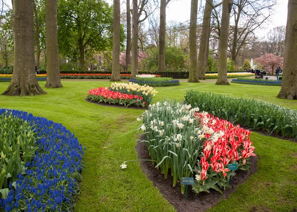 Lisse Netherlands Abril 2017 Visitantes Keukenhof Garden Lisse Holanda — Fotografia de Stock