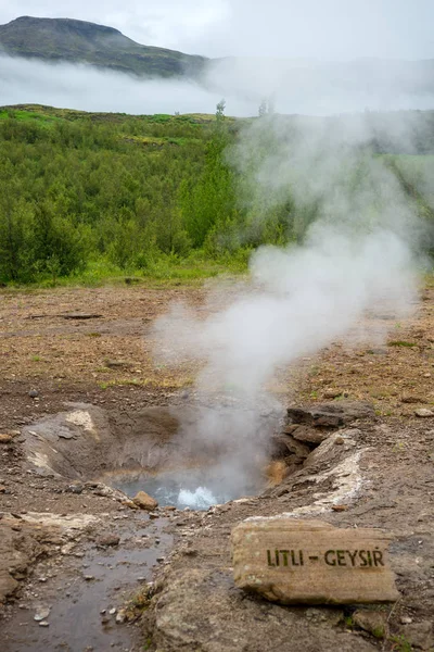 View of a Meadow with Steaming Hot Springs, Haukadalur Valley, Southern Iceland