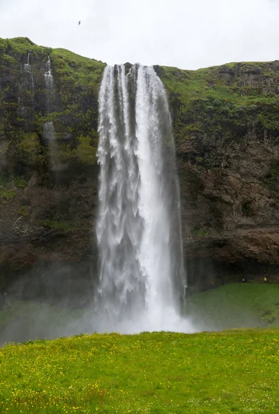 Zlanda Nın Güney Kıyılarında Şelale Seljalandsfoss — Stok fotoğraf