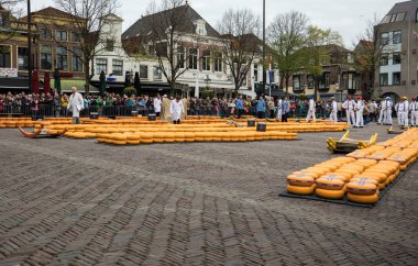 Alkmaar, Hollanda - 21 Nisan 2017: Tipik peynir pazarı şehir Alkmaar Hollanda, sadece dört geleneksel Hollanda peynir piyasalarda hala varlığını ve bir ülkenin en popüler turistik. 