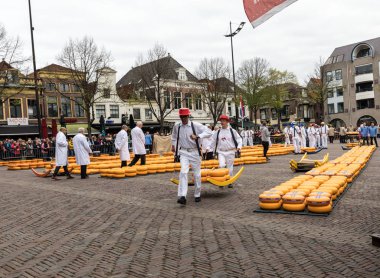 Alkmaar, Hollanda - 21 Nisan 2017: Alkmaar, Hollanda ünlü Hollandalı peynir pazarında birçok peynir ile yürüyüş uçak gemisi. Waagplein Meydanı'nda olay olur. 
