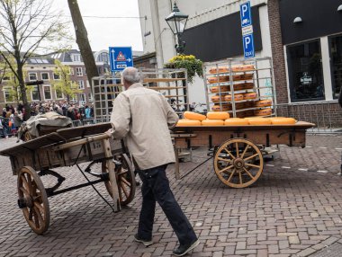 Alkmaar, Hollanda - 21 Nisan 2017: Tipik peynir pazarı şehir Alkmaar Hollanda, sadece dört geleneksel Hollanda peynir piyasalarda hala varlığını ve bir ülkenin en popüler turistik. 