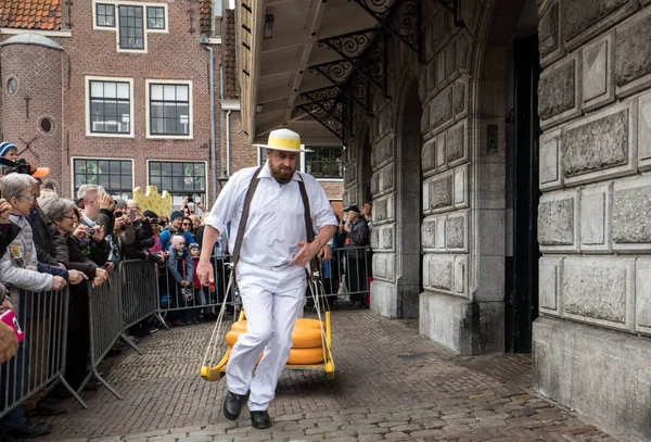 Αλκμάαρ Ολλανδία Απριλίου 2017 Μεταφορείς Περπάτημα Πολλά Τυριά Στην Αγορά — Φωτογραφία Αρχείου