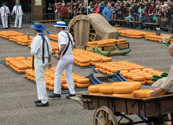 Alkmaar Países Bajos Abril 2017 Mercado Típico Quesos Ciudad Alkmaar —  Fotos de Stock