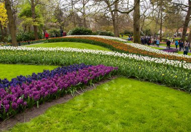 Lisse Hollanda - 19 Nisan 2017: Lisse, Hollanda, Hollanda Keukenhof Garden ziyaretçi.
