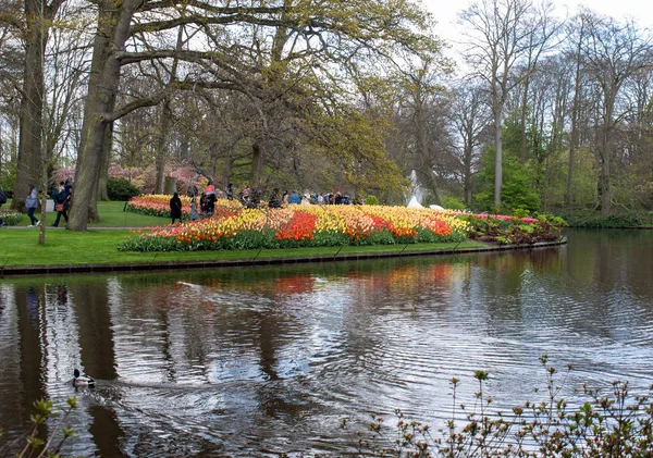 Lisse Pays Bas Avril 2017 Visiteurs Jardin Keukenhof Lisse Hollande — Photo