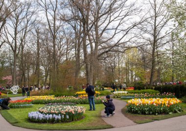 Lisse Hollanda - 19 Nisan 2017: Lisse, Hollanda, Hollanda Keukenhof Garden ziyaretçi.