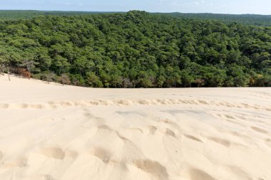 Avrupa 'nın en uzun kum tepeciği olan Pilat Kumulundan bir görüntü. La Teste-de-Buch, Arcachon Körfezi, Aquitaine, Fransa 