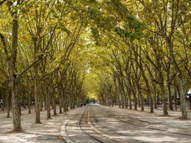 Bordeaux, Fransa - 9 Eylül 2018: Place des Quinconces, Bordeaux France boyunca yeşil ağaçlarla kaplı bir halk bahçesi.