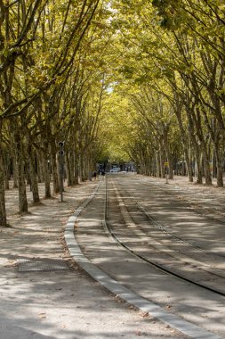 Bordeaux, Fransa - 9 Eylül 2018: Place des Quinconces, Bordeaux France boyunca yeşil ağaçlarla kaplı bir halk bahçesi.