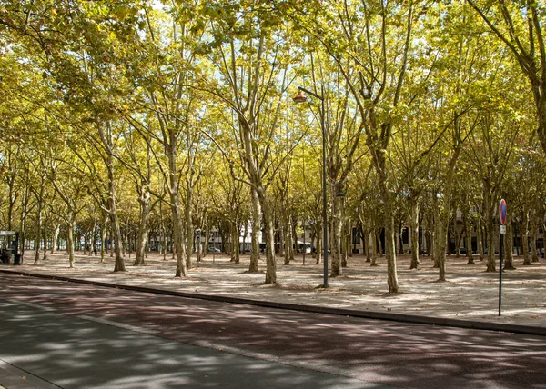 Bordeaux Frankrijk September 2018 Openbare Tuin Aan Place Des Quinconces — Stockfoto