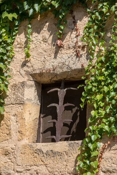 Wall House Completely Overgrown Ivy — Stock Photo, Image