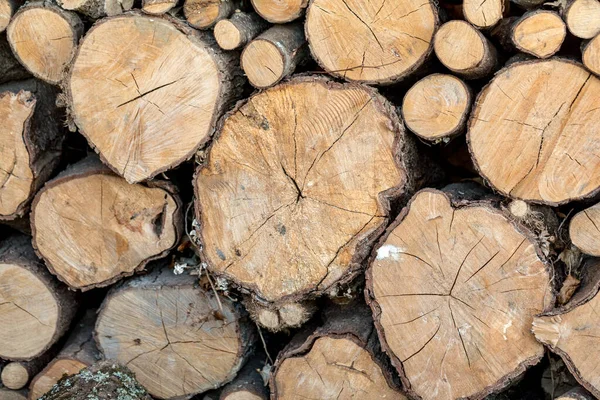 Background Dry Firewood Logs Stacked Top Each Other — Stock Photo, Image