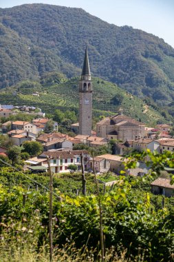 Valdobbiadene ve Conegliano arasında Prosecco şaraplı üzüm bağları bulunan Picturesque tepeleri; İtalya.