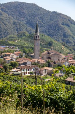 Picturesque hills with vineyards of the Prosecco sparkling wine region between Valdobbiadene and Conegliano; Italy. clipart