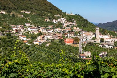 Valdobbiadene ve Conegliano arasında Prosecco şaraplı üzüm bağları bulunan Picturesque tepeleri; İtalya.