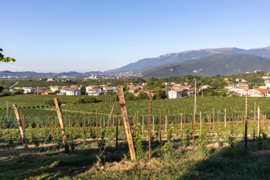 İtalya, Valdobbiadene 'de Prosecco' nun köpüren şarap bölgesinin üzüm bağlarıyla dolu resimli tepeler..