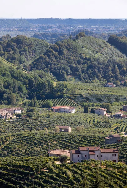 Malebné Kopce Vinicemi Oblasti Šumivého Vína Prosecco Santo Stefanu Itálie — Stock fotografie