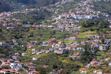Madeira adasındaki Funchal 'ın dik yamaçlarında tipik teras mimarisi. Portekiz
