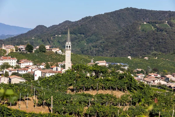 Pintorescas Colinas Con Viñedos Región Vinícola Espumosa Prosecco Guietta Guia — Foto de Stock