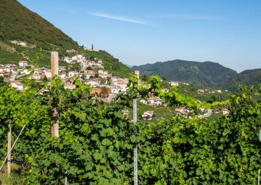 İtalya, Valdobbiadene 'de Prosecco' nun köpüren şarap bölgesinin üzüm bağlarıyla dolu resimli tepeler..
