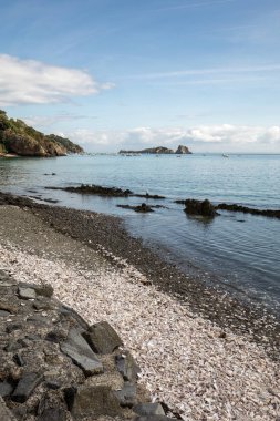 Cancale 'deki istiridye çiftlikleriyle ünlü deniz tabanına atılmış binlerce boş istiridye kabuğu. Britanya, Fransa 