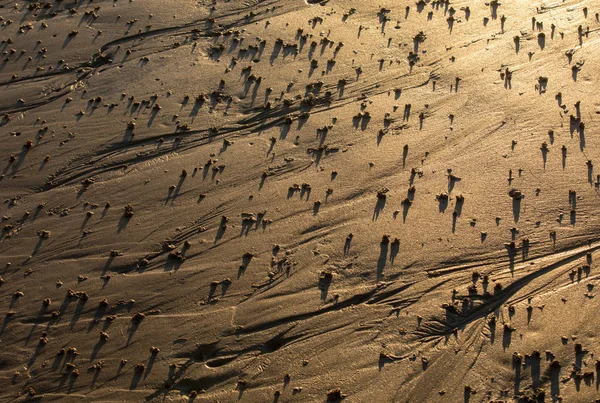 Spiaggia Astratta Sabbia Bagnata Che Riflette Luce Del Sole Durante — Foto Stock