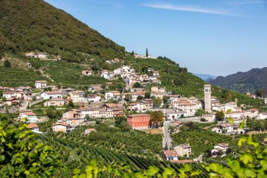 Valdobbiadene ve Conegliano arasında Prosecco şaraplı üzüm bağları bulunan Picturesque tepeleri; İtalya.