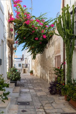 Polignano a Mare, İtalya - 17 Eylül 2019: Büyüleyici ve romantik tarihi şehir Polignano a Mare, Apulia, Güney İtalya