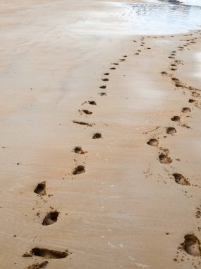 Fransa 'nın Brittany kentindeki ünlü Saint Malo tatil beldesinin ana plajı. 