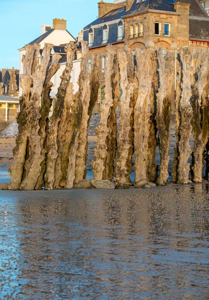 Gran Rompeolas Playa Saint Malo 3000 Troncos Para Defender Ciudad —  Fotos de Stock