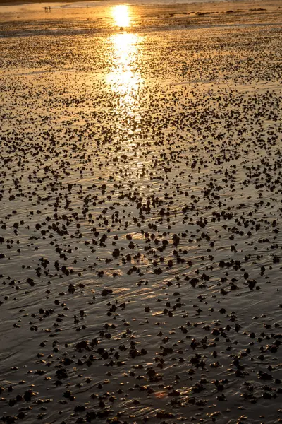 Beach Abstract Wet Sand Reflecting Sunlight Sunset — Stock Photo, Image