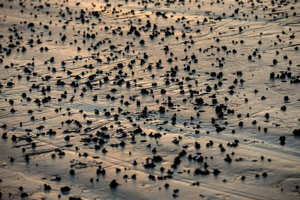 Praia Abstrato Areia Molhada Refletindo Luz Solar Durante Pôr Sol — Fotografia de Stock