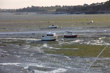 Cancale 'in ünlü istiridye üretim kasabası Brittany, Fransa' da sahilde karada kayıklar.,