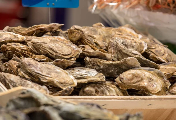 Fresh Raw Oysters Outdoor Street Market Cancale Town Brittany France — Stock Photo, Image