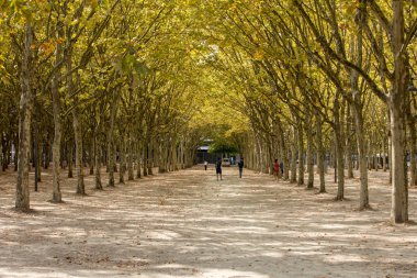 Bordeaux, Fransa - 9 Eylül 2018: Place des Quinconces, Bordeaux France boyunca yeşil ağaçlarla kaplı bir halk bahçesi.