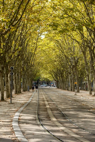 フランス ボルドー 2018年9月9日 緑の木々の天蓋付き フランス ボルドーのキンコネス広場沿いの公共庭園 — ストック写真