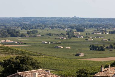 Bordeaux, Fransa yakınlarındaki Saint Emilion kasabasındaki ünlü Fransız üzüm bağları. St Emilion, Bordeaux 'nun başlıca kırmızı şarap bölgelerinden biridir ve çok popüler bir turizm merkezidir..
