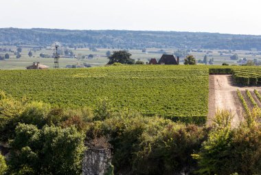 Bordeaux, Fransa yakınlarındaki Saint Emilion kasabasındaki ünlü Fransız üzüm bağları. St Emilion, Bordeaux 'nun başlıca kırmızı şarap bölgelerinden biridir ve çok popüler bir turizm merkezidir..