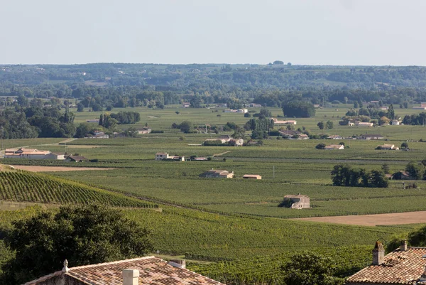 Slavné Francouzské Vinice Městě Saint Emilion Nedaleko Bordeaux Francii Emilion — Stock fotografie